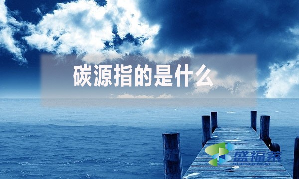 碳源指的是什么？