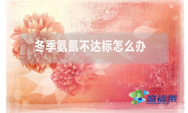 冬季氨氮不達標怎么辦？