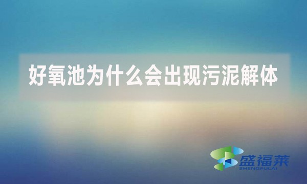 好氧池為什么會出現污泥解體？上清液細碎污泥多是怎么回事？