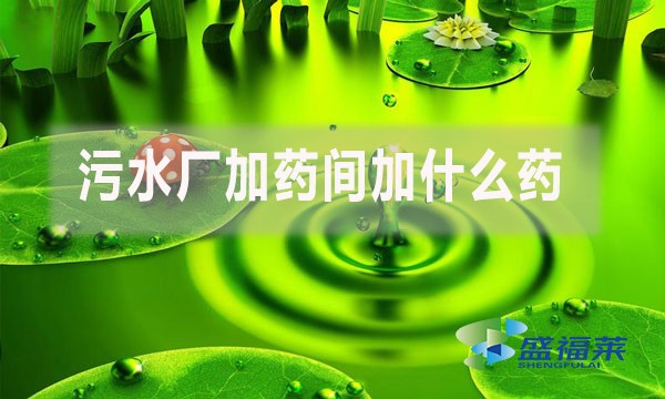 污水廠加藥間加什么藥？