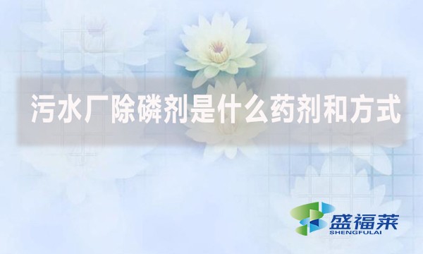 污水廠除磷劑是什么藥劑和方式？