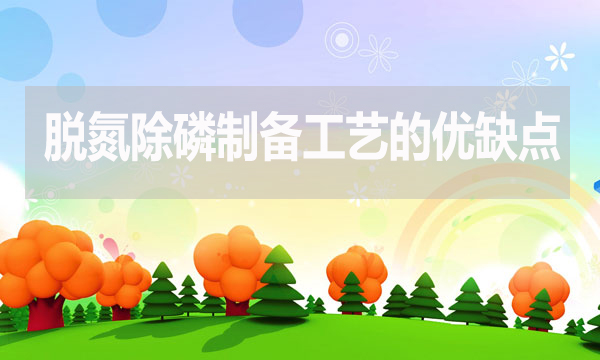 污水處理脫氮除磷制備工藝有哪些優(yōu)點和缺點？