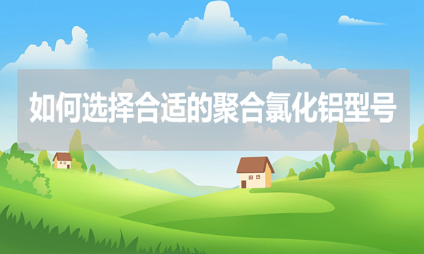 如何選擇合適的聚合氯化鋁型號？
