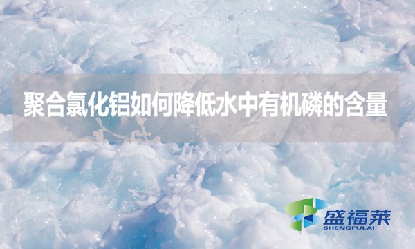 聚合氯化鋁如何降低水中有機(jī)磷的含量？