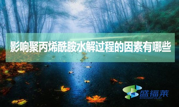 影響聚丙烯酰胺水解過(guò)程的因素有哪些？